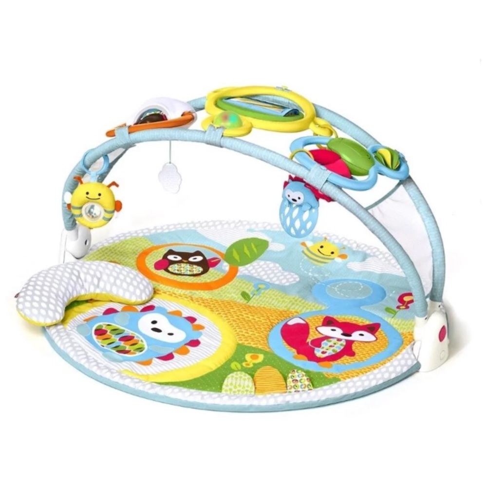 Skip Hop Grow-With-Me Gym